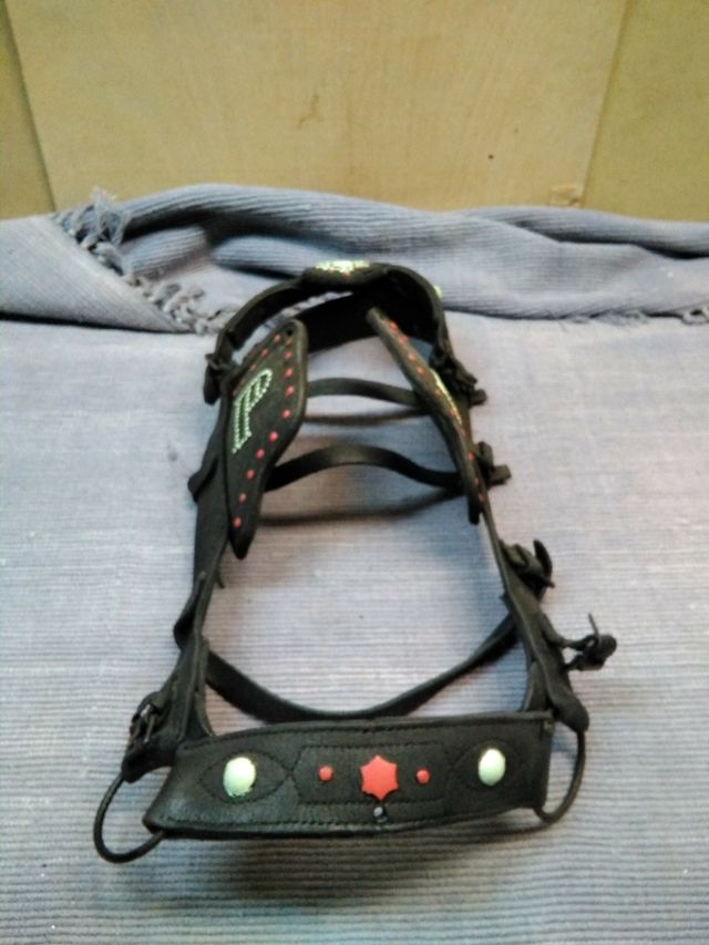 Cabezal de caballería 