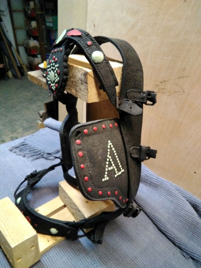 Cabezal de caballería 