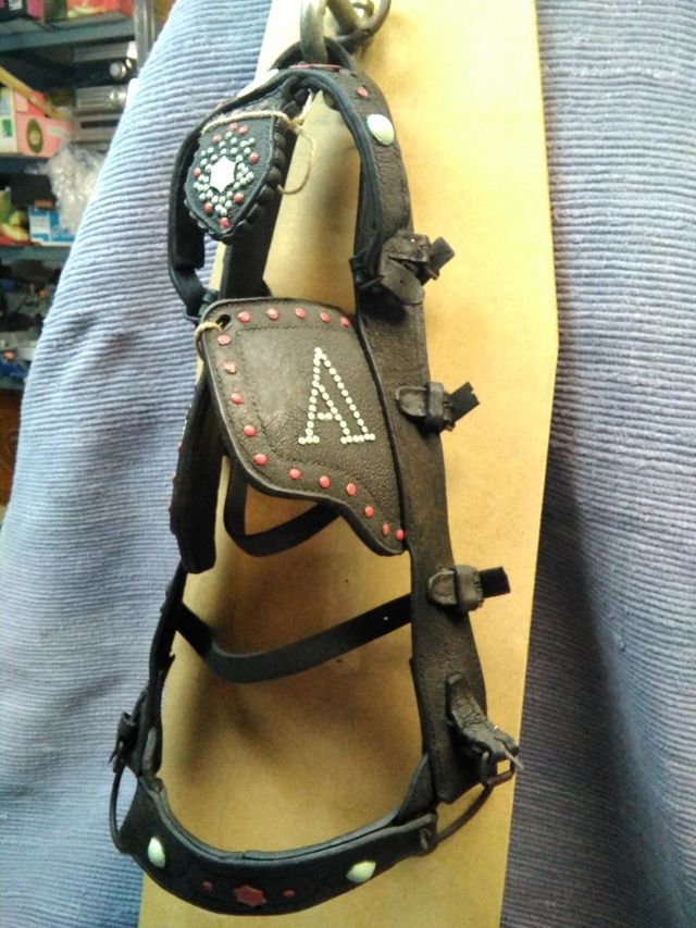 Cabezal de caballería 