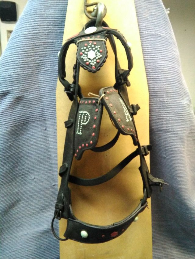 Cabezal de caballería 