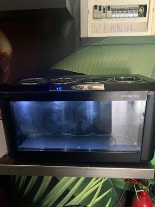 📣VINOTECA DE SOBREMESA PARA 4 BOTELLAS 📣