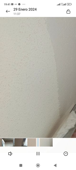 Pintor de casas y naves