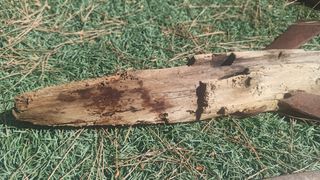 Arado y romana antigua