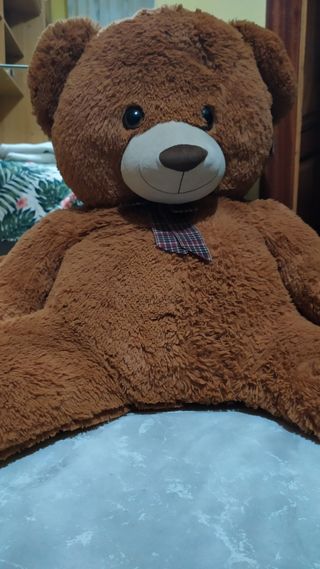 Oso de peluche