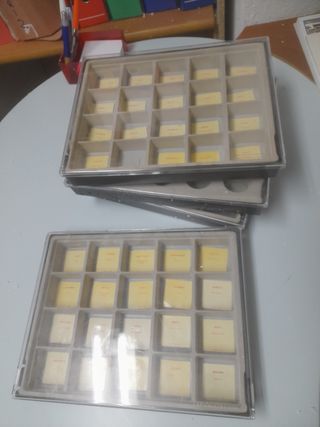 6 organizzatori per pietre