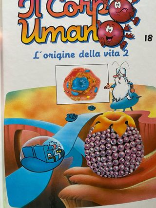 enciclopedia il corpo umano per bambini