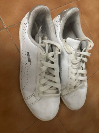 Bambas puma
