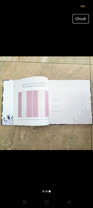 Il libro della gravidanza