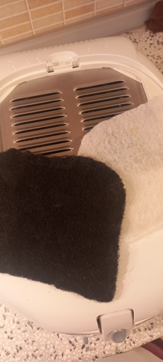 Friggitrice De Longhi easy clean 