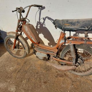 Moto califfo