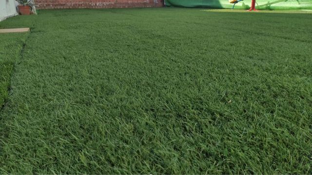 Cesped artificial reciclado