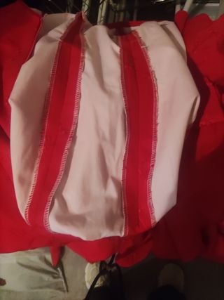 Traje flamenca 