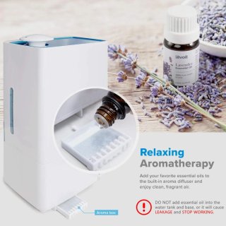 Humidificador