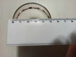 Bicchierini da rum/whisky con decoro