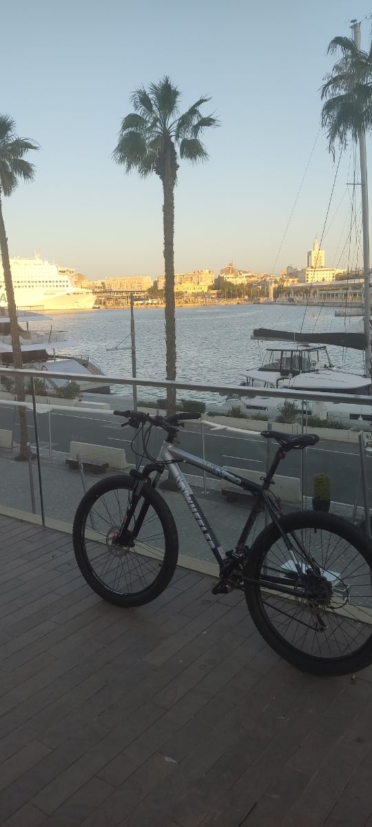 Bicicleta Wheeler w59 pro