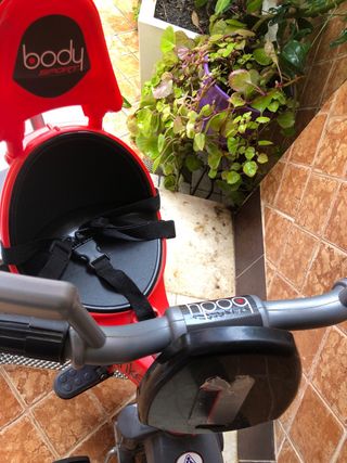 Triciclo Injusa