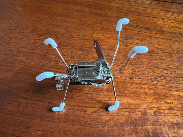 Kikkerland criaturas de cuerda Cosmojetzt y Pea