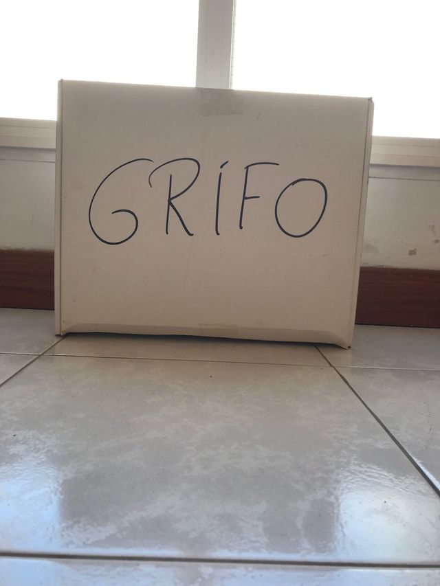 Grifo