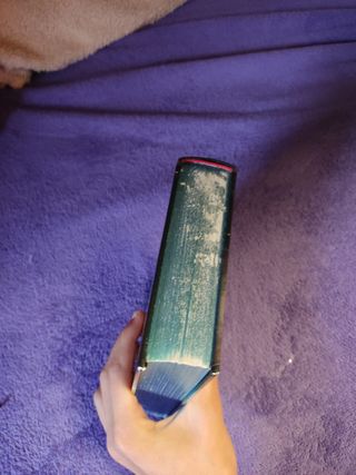 Gerónimo Stilton 11° Viaje.