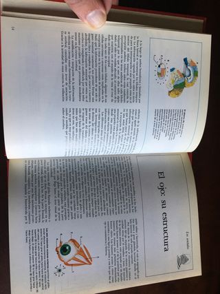 EL CUERPO HUMANO (Volúmenes I y II). C. Rayner.