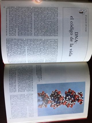 EL CUERPO HUMANO (Volúmenes I y II). C. Rayner.