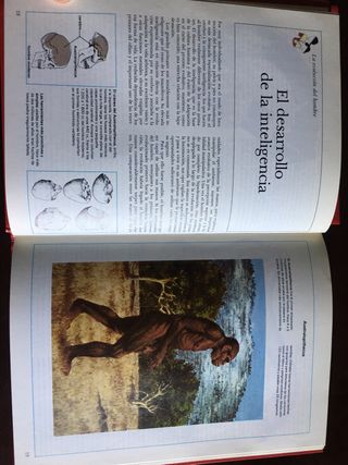 EL CUERPO HUMANO (Volúmenes I y II). C. Rayner.