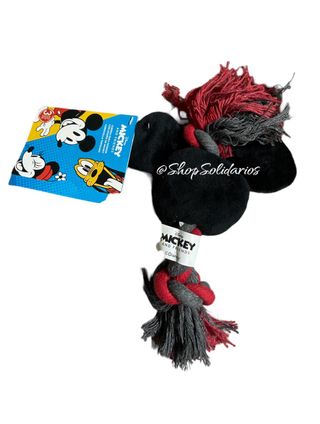 Disney Nuevo Solidario