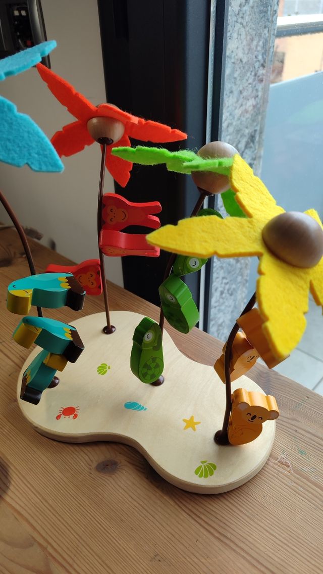 Juego magnético Janod