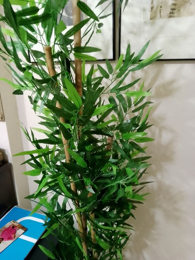 Precioso aspecto muy natural bambú