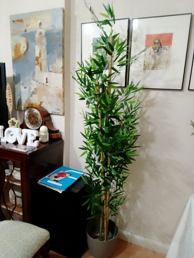 Precioso aspecto muy natural bambú