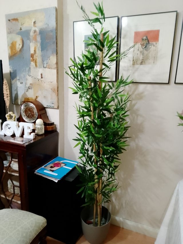 Precioso aspecto muy natural bambú