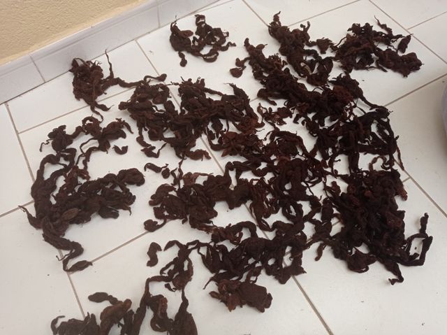 LANA VIRGEN PARA RELLENAR COJINES, ALMUADAS...