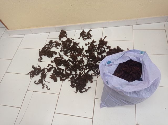 LANA VIRGEN PARA RELLENAR COJINES, ALMUADAS...