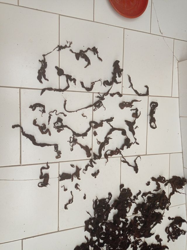 LANA VIRGEN PARA RELLENAR COJINES, ALMUADAS...