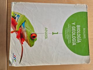 Libro Bachillerato