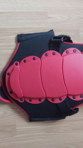 Espaldera esqui snowboard marca air pads