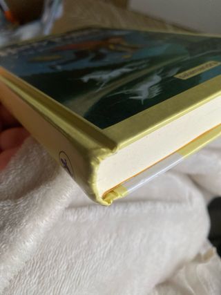 Harry Potter y la piedra filosofal