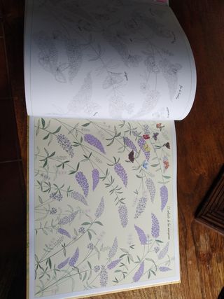 Jardín con vida y color. Transferibles