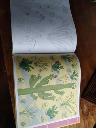 Jardín con vida y color. Transferibles