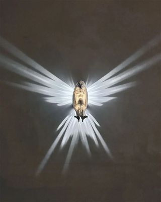 Aquila lampada da parete per interni