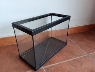 Pecera con accesorios