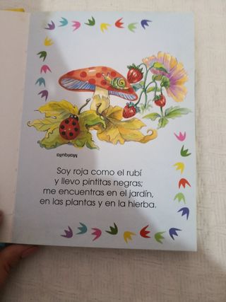 Libro mis adivinanzas favoritas