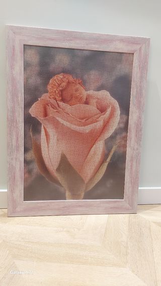 Cuadro Puzzle Bebe Anne Geddes