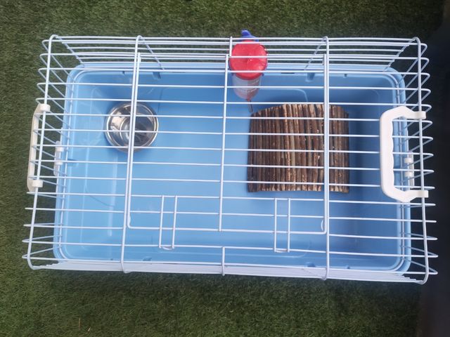 Jaula conejo enano o cobaya