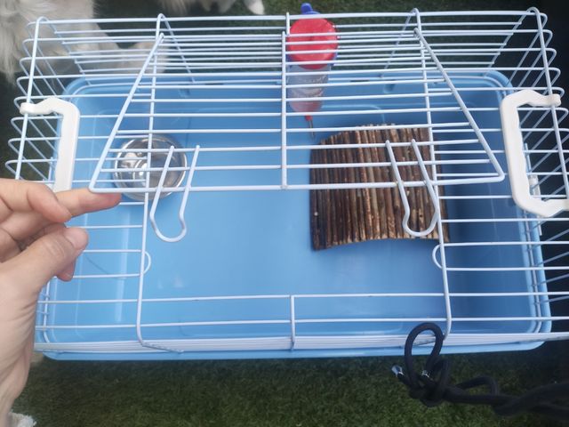 Jaula conejo enano o cobaya