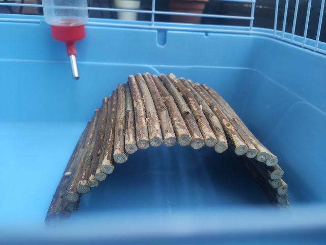 Jaula conejo enano o cobaya