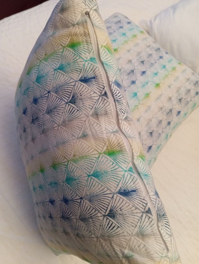 Dos cojines estampado plumas