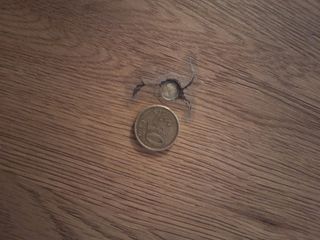 Mesa comedor Maison du Monde