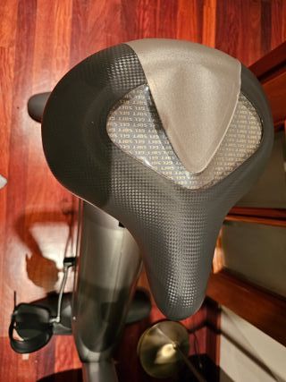 Bicicleta estática BH carbón bike dual