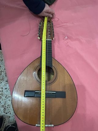 Bandurria Cesar Serrano